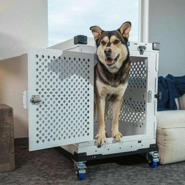 k9